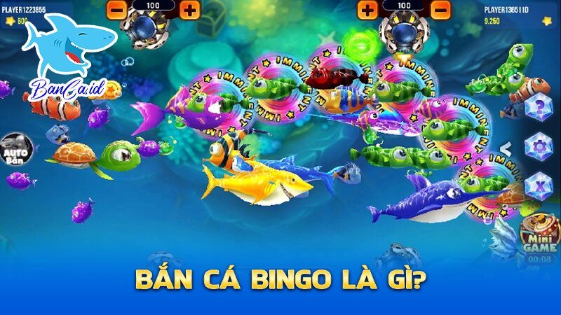 Vài nét về trò chơi bắn cá bingo