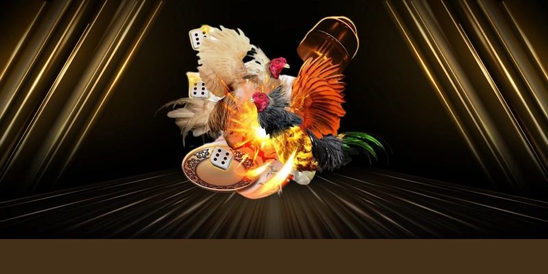 Lợi thế khi tham gia cá cược đá gà đổi thưởng tại SV388