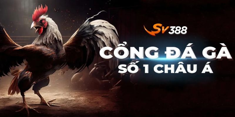 Hệ thống trò chơi tại Casino SV388 có gì nổi bật?