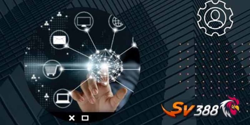 Quyền và nghĩa vụ của người dùng trong Chính sách bảo mật SV388