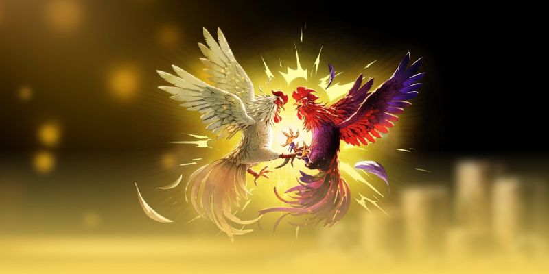 Tổng quan về đá gà cựa sắt hiện nay