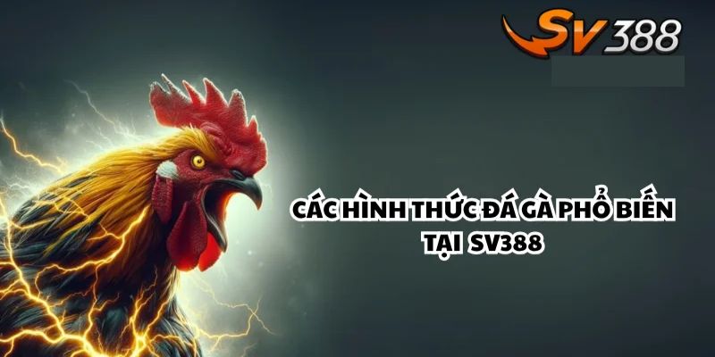 Luật chơi và đặc điểm nổi bật của đá gà cựa sắt