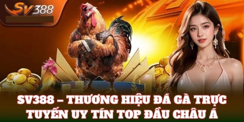 Tổng quan về Đá gà SV388