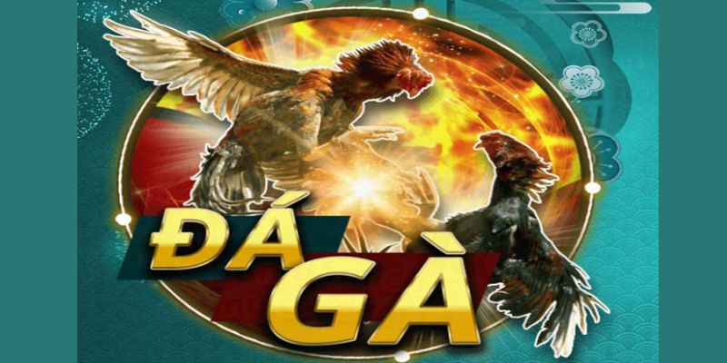 Xu hướng phát triển của cá cược đá gà đổi thưởng trực tuyến