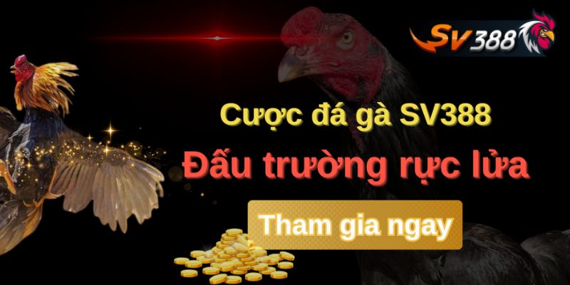 Cách nhận biết trang cá cược đá gà uy tín và an toàn
