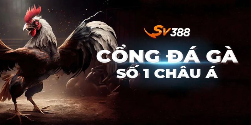 Những tiêu chí đánh giá trang cá cược đá gà uy tín