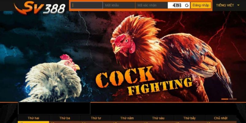 Khái niệm xem đá gà trực tuyến hiện nay